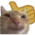 :CatSmillingThumbsUp: