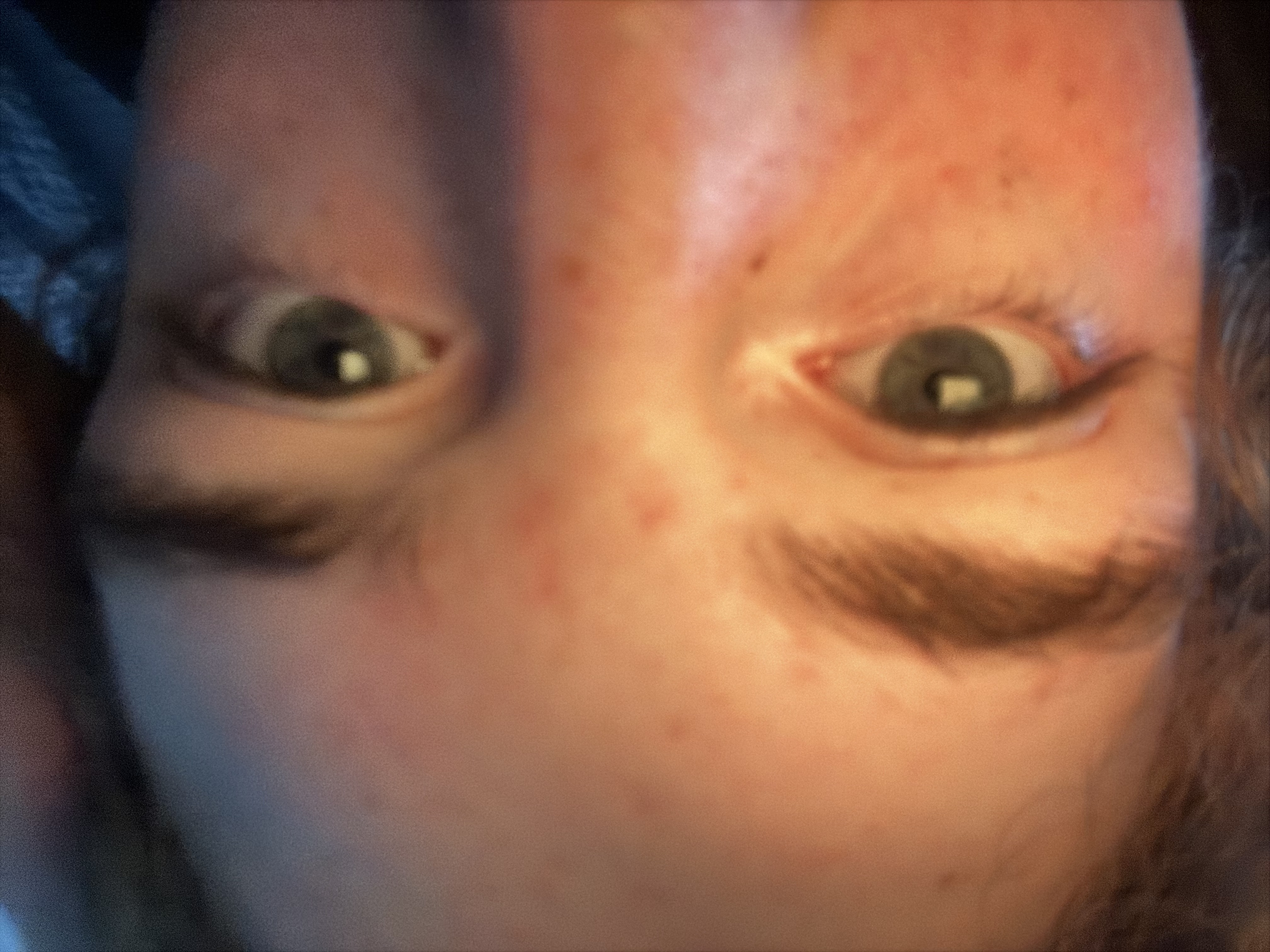 vxv80a.jpeg
